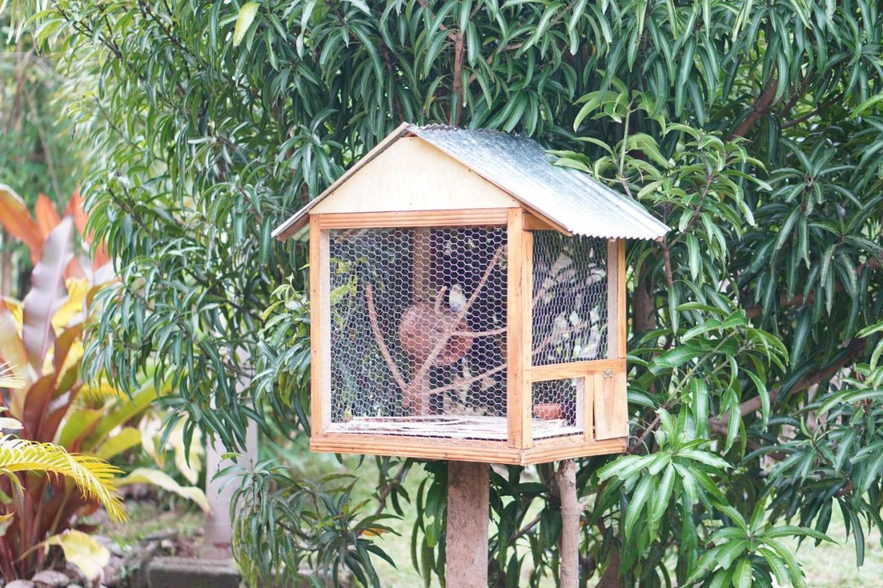 Nature World Jungle Paradise اوداوالاوي المظهر الخارجي الصورة