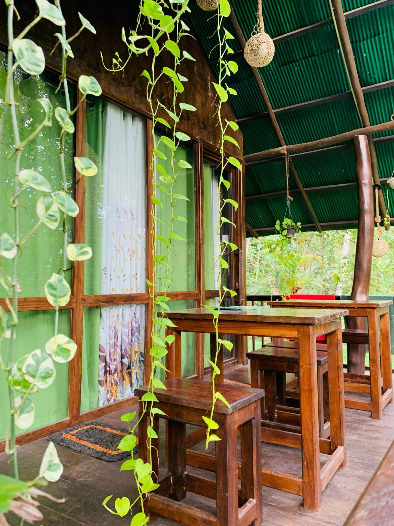 Nature World Jungle Paradise اوداوالاوي الغرفة الصورة