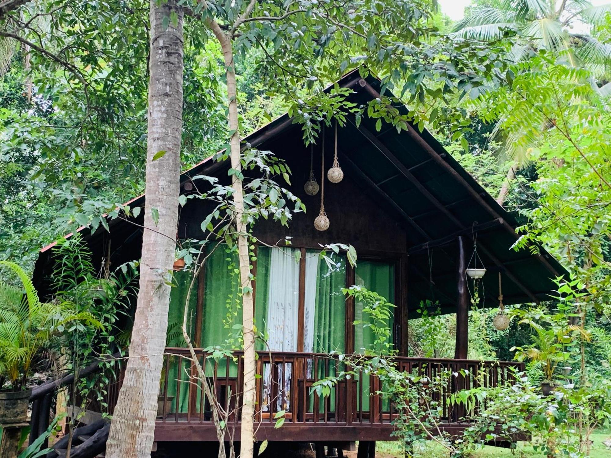 Nature World Jungle Paradise اوداوالاوي الغرفة الصورة