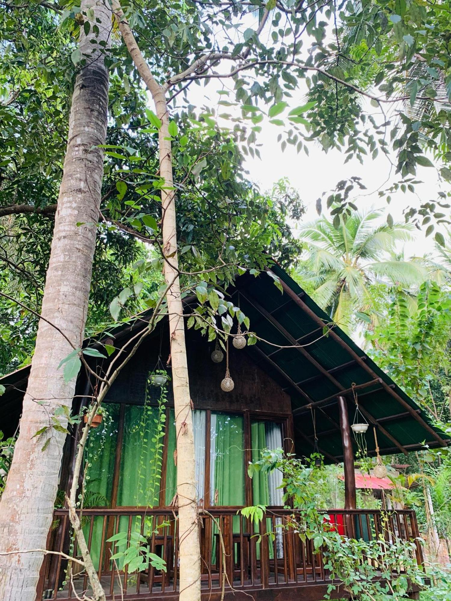 Nature World Jungle Paradise اوداوالاوي الغرفة الصورة